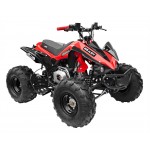 GMX The Beast Red 125cc SPORTS Quad Bike