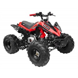 GMX The Beast Red 125cc SPORTS Quad Bike