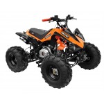 GMX The Beast Orange 125cc SPORTS Quad Bike