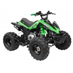 GMX The Beast Green 125cc SPORTS Quad Bike