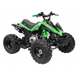 GMX The Beast Green 125cc SPORTS Quad Bike