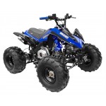 GMX The Beast Blue 125cc SPORTS Quad Bike